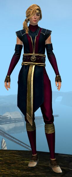 File:Medium Monastery armor norn female front.jpg