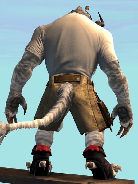 File:Seize the Awkward Clothing Outfit charr male back.jpg