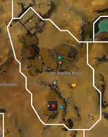 The Blasted Moors map.jpg