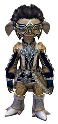 Aurora armor asura male front.jpg