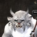 Exclusive face - charr female 5.jpg