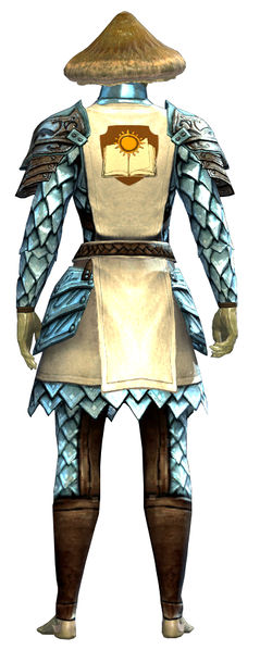 File:Guild Defender armor sylvari male back.jpg