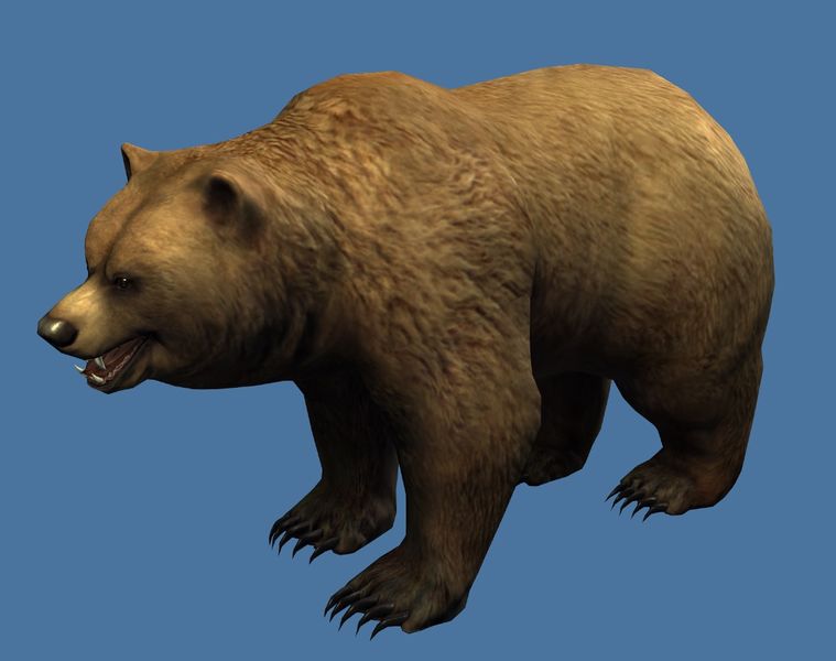 File:Mini Brown Bear.jpg