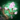 Cultivated Cherry Blossom.png