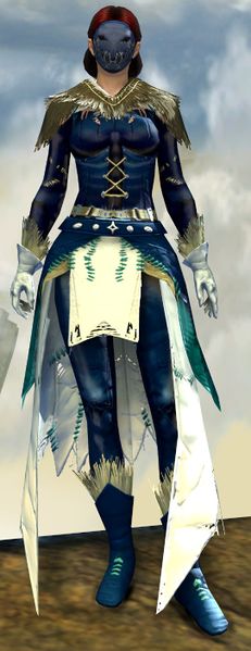 File:Lunatic Acolyte armor norn female back.jpg