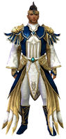 Stately armor human male front.jpg