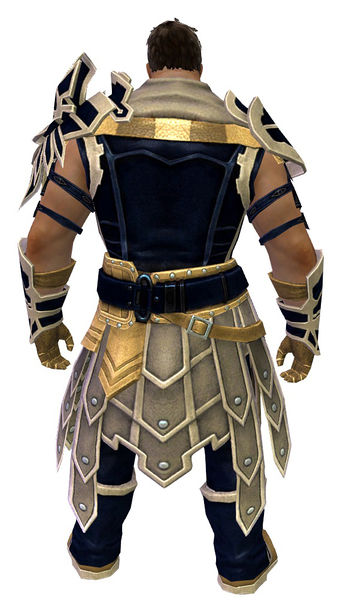 File:Vigil's Honor armor (medium) norn male back.jpg