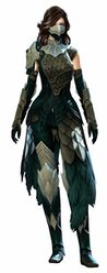 Falconer's armor human female front.jpg