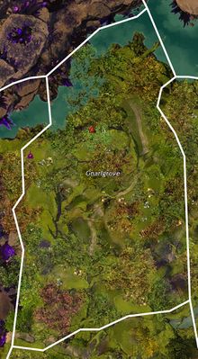 Gnarlgrove - Guild Wars 2 Wiki (GW2W)