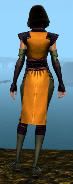 File:Light Monastery armor norn female back.jpg
