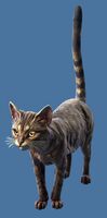 Mini Brown Tabby Cat.jpg