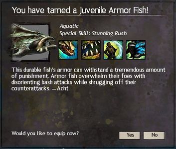 Description of an Armor Fish.