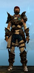 Leystone armor (medium) human male front.jpg