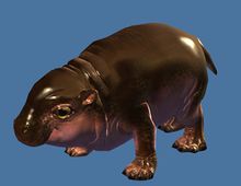 Mini Hippo Calf.jpg