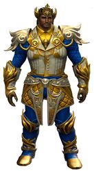 Luminous armor (light) norn male front.jpg