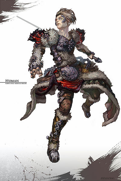 File:Norn style human medium armor.jpg