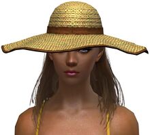 Beach Hat female.jpg