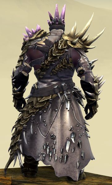File:Bounty Hunter's armor (medium) norn male back.jpg