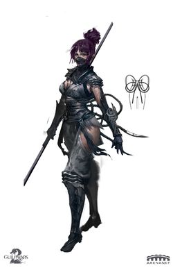Shadow Assassin Outfit Guild Wars 2 Wiki Gw2w