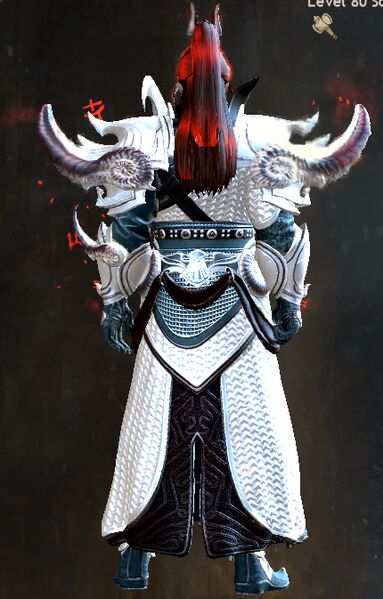 File:Divine Conqueror Outfit human male back.jpg