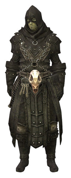 File:Executioner's Outfit sylvari male front.jpg