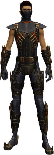 File:True Assassin's Guise Outfit human male front.jpg