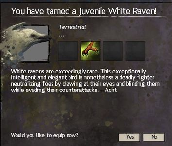 Description of a White Raven.