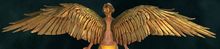 Golden Feather Wings Glider.jpg