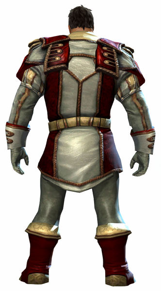 File:Magician armor norn male back.jpg