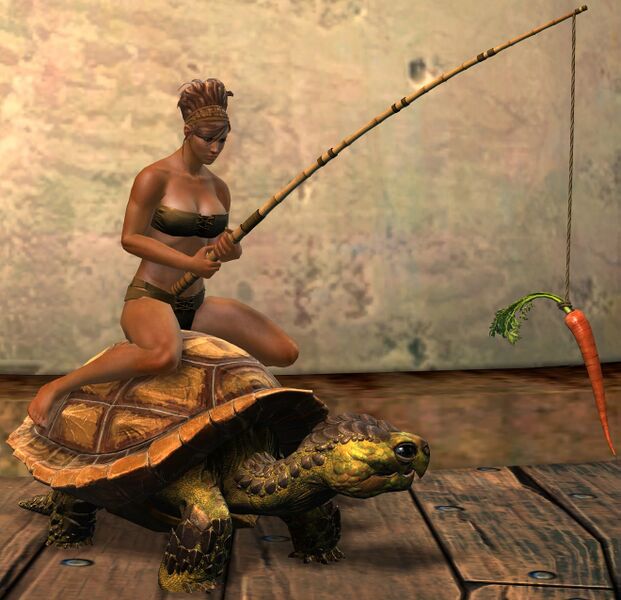 File:Meandering Tortoise Chair norn female.jpg