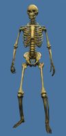 Mini Spooky Skeleton.jpg