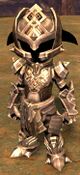 Heavy armor professions of asura