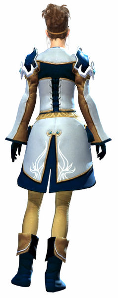 File:Student armor norn female back.jpg