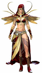 Winged armor norn female front.jpg