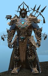 Funerary armor (heavy) norn male front.jpg