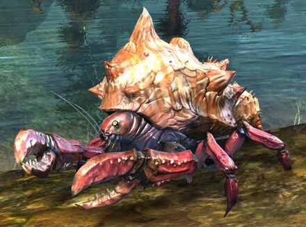 Endless Hermit Crab Tonic - Guild Wars 2 Wiki (GW2W)