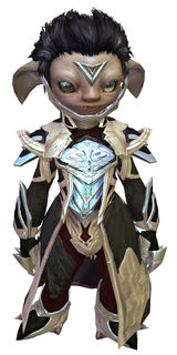 Council Watch armor asura male front.jpg