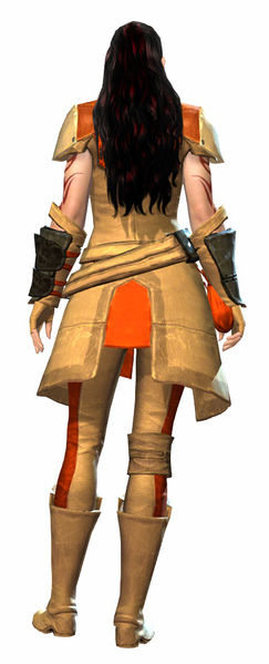 File:Rawhide armor norn female back.jpg