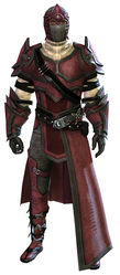 Sneakthief armor human male front.jpg