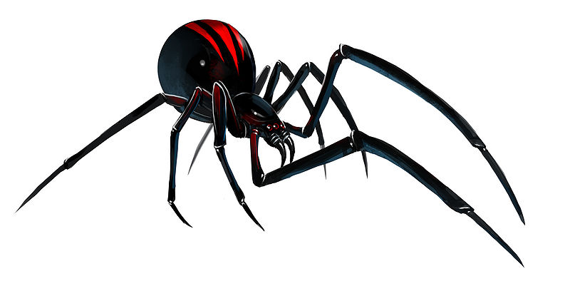 File:Black Widow Spider concept art.jpg