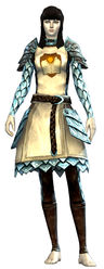 Guild Defender armor norn female front.jpg