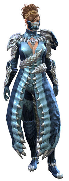 File:Accursed armor norn female front.jpg