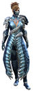 Accursed armor norn female front.jpg