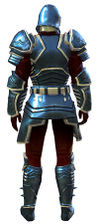 Ascalonian Protector armor sylvari male back.jpg