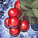 Fresh Winterberry.png