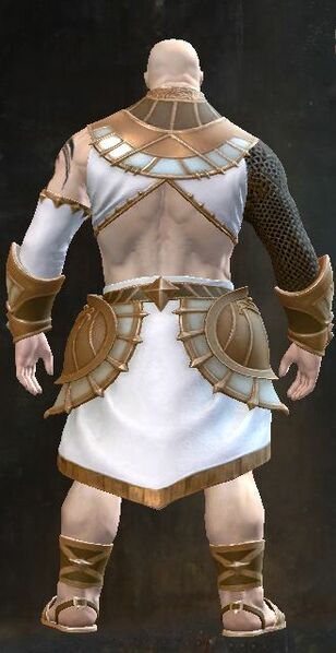File:Sanctified armor norn male back.jpg