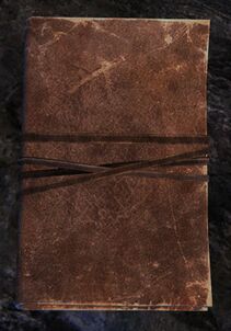 Book (leather).jpg