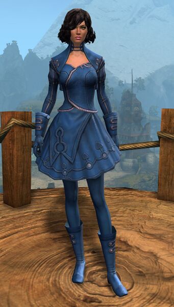 File:Blueberry Dye (light armor).jpg