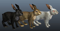 Bunnies render.jpg