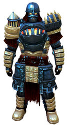 Forgeman armor (heavy) norn male front.jpg